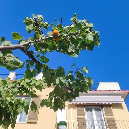 Apartament Maya